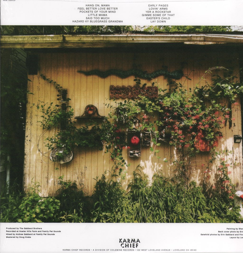 Gabbard Brothers - Gabbard Brothers - Lp