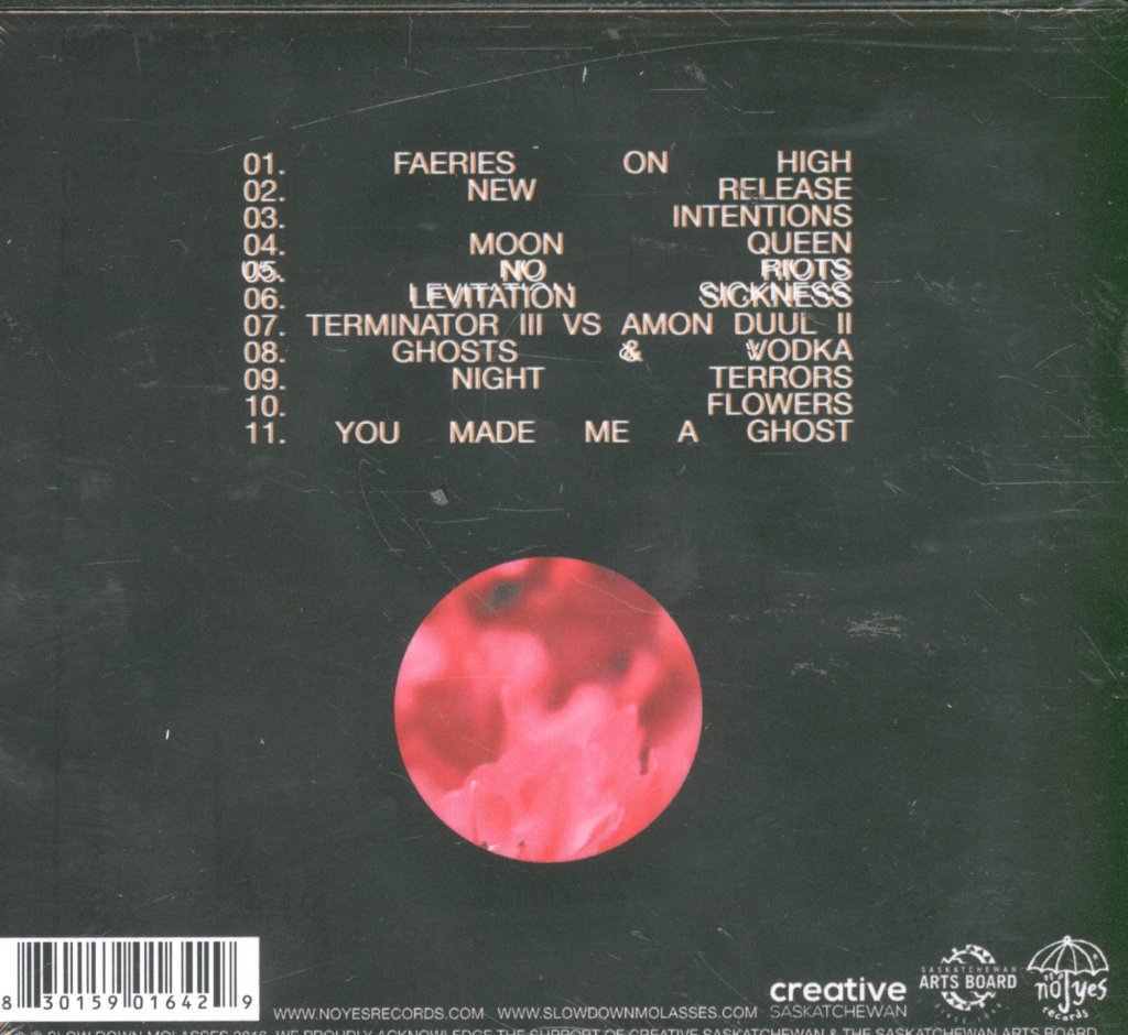 Slow Down, Molasses - 100% Sunshine - Cd
