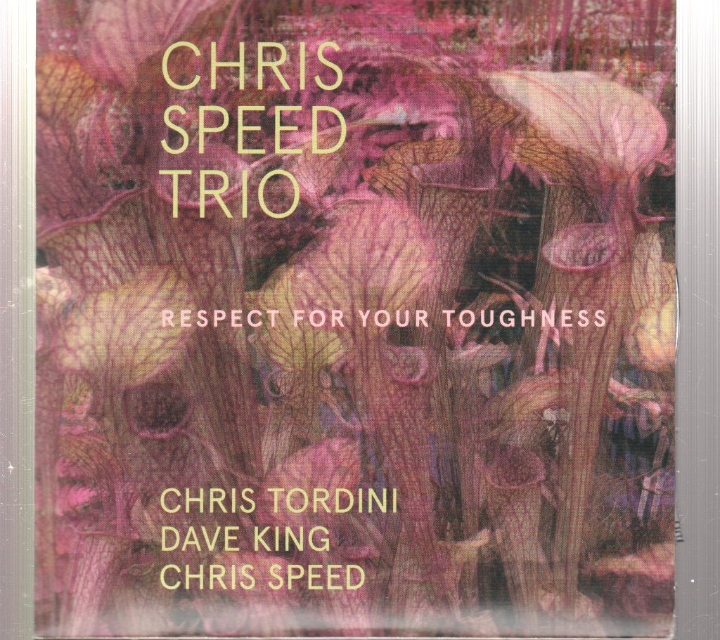 Chris Speed Trio - Respect For Your Toughness - Cd