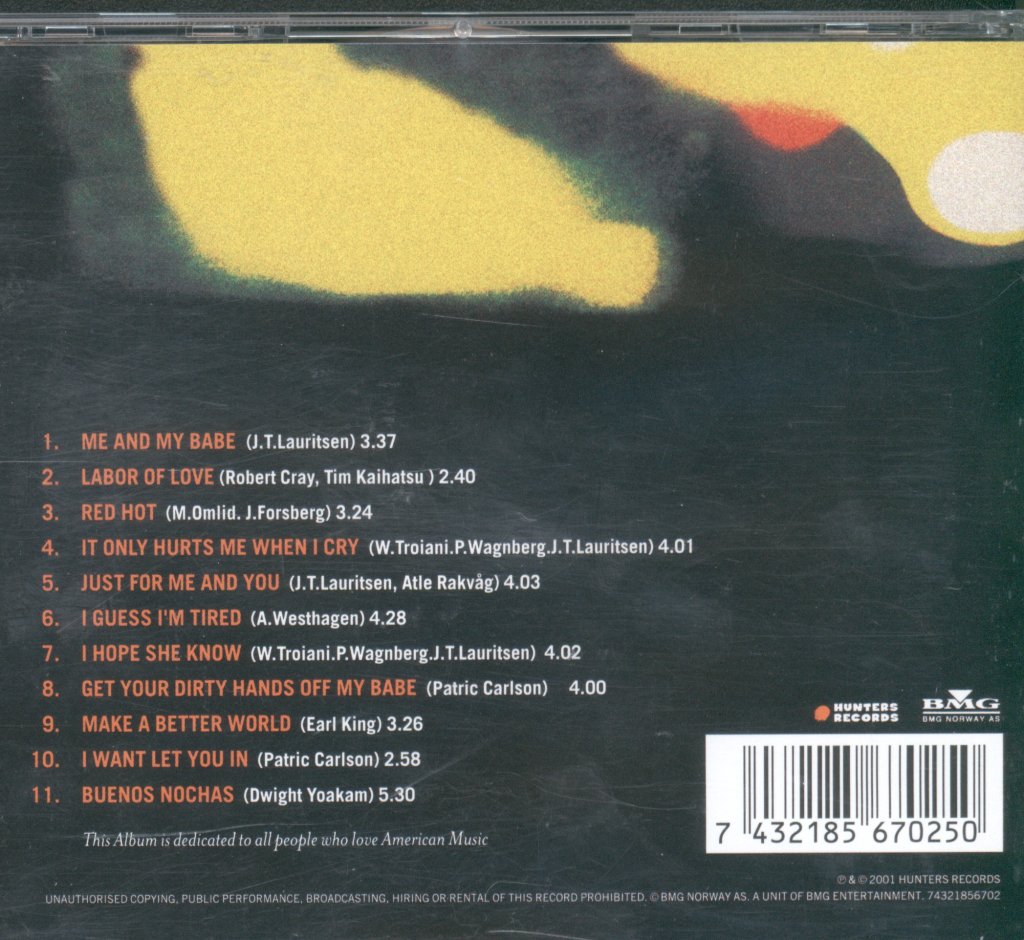 J. T. Lauritsen & The Buckshot Hunters - Make A Better World - Cd