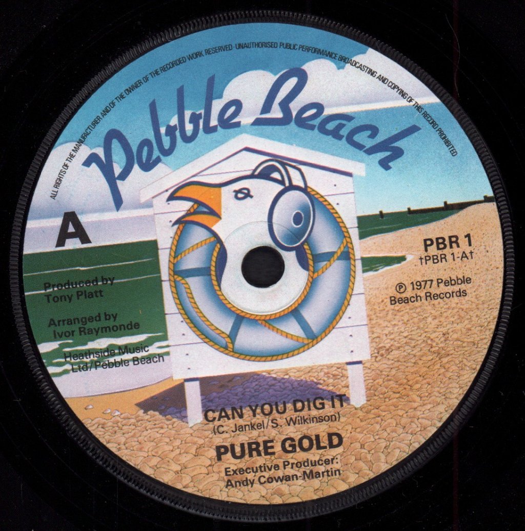 Pure Gold - Can You Dig It - 7 Inch