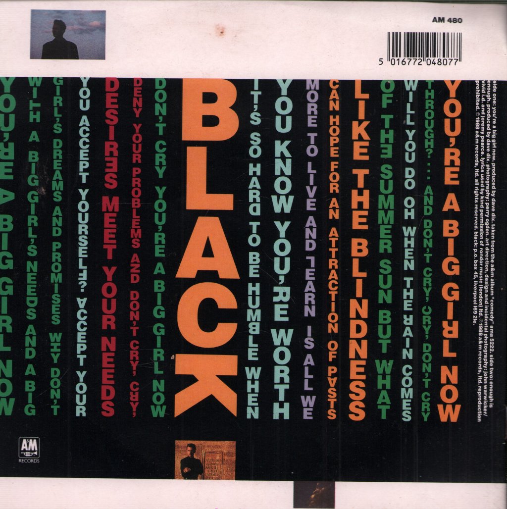 Black - You're A Big Girl Now - 7 Inch