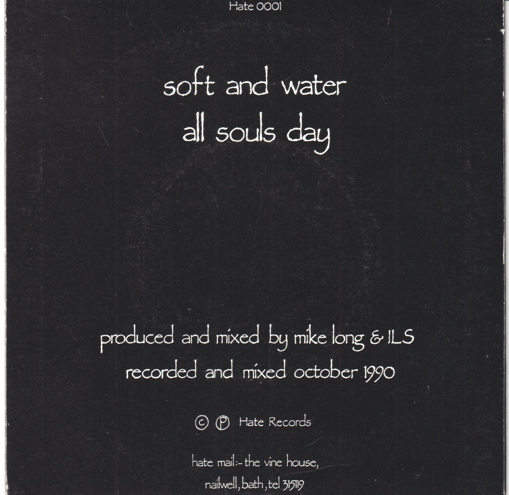 I've Lost Sarah - Soft And Water - 7 Inch