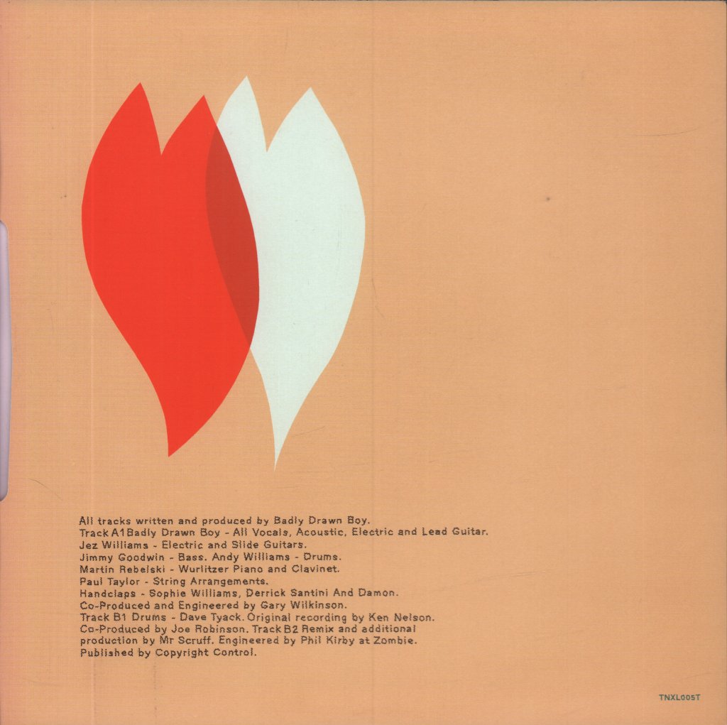 Badly Drawn Boy - Diillusion - 10 Inch