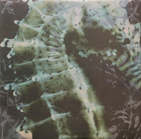 Horse (90'S Group) - Same Sky - Lp