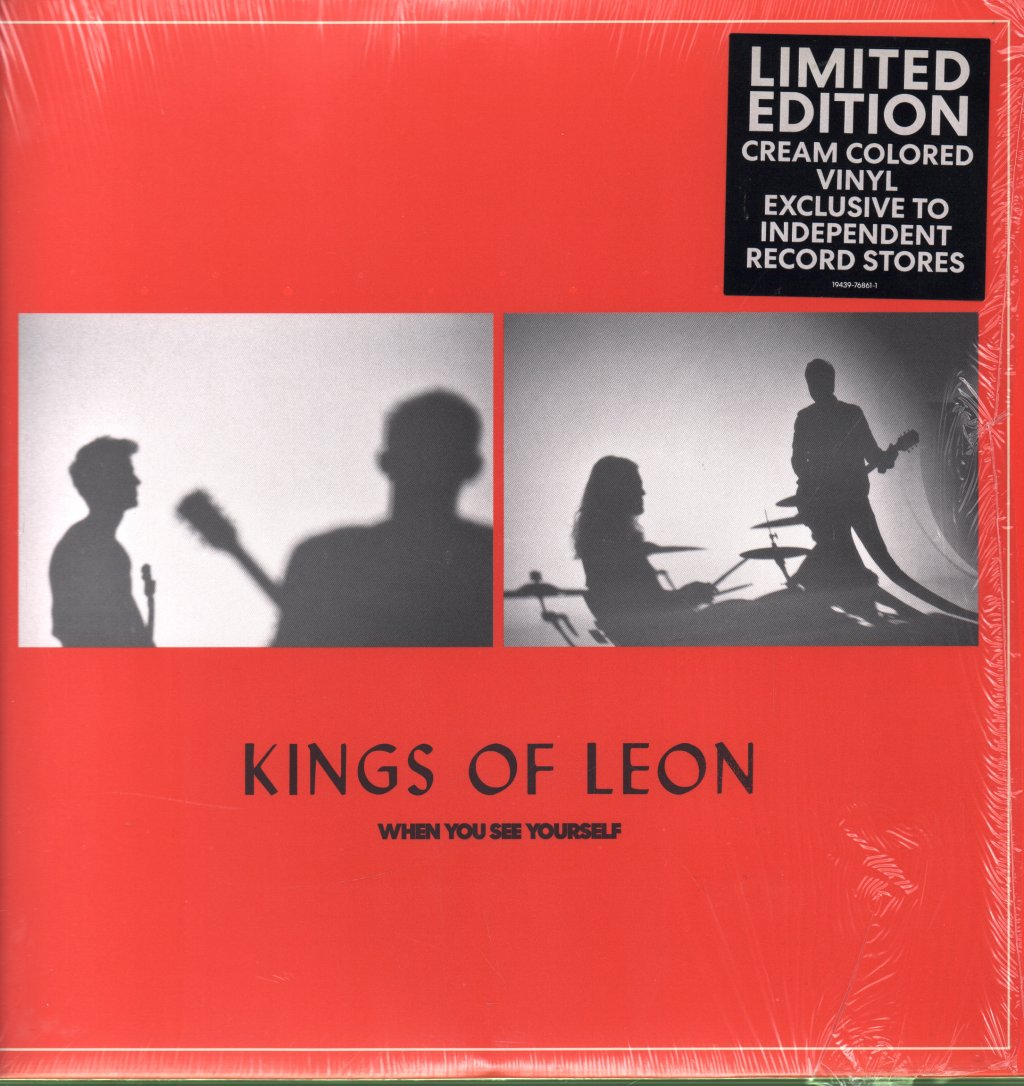 Kings Of Leon - When You See Yourself - Double Lp