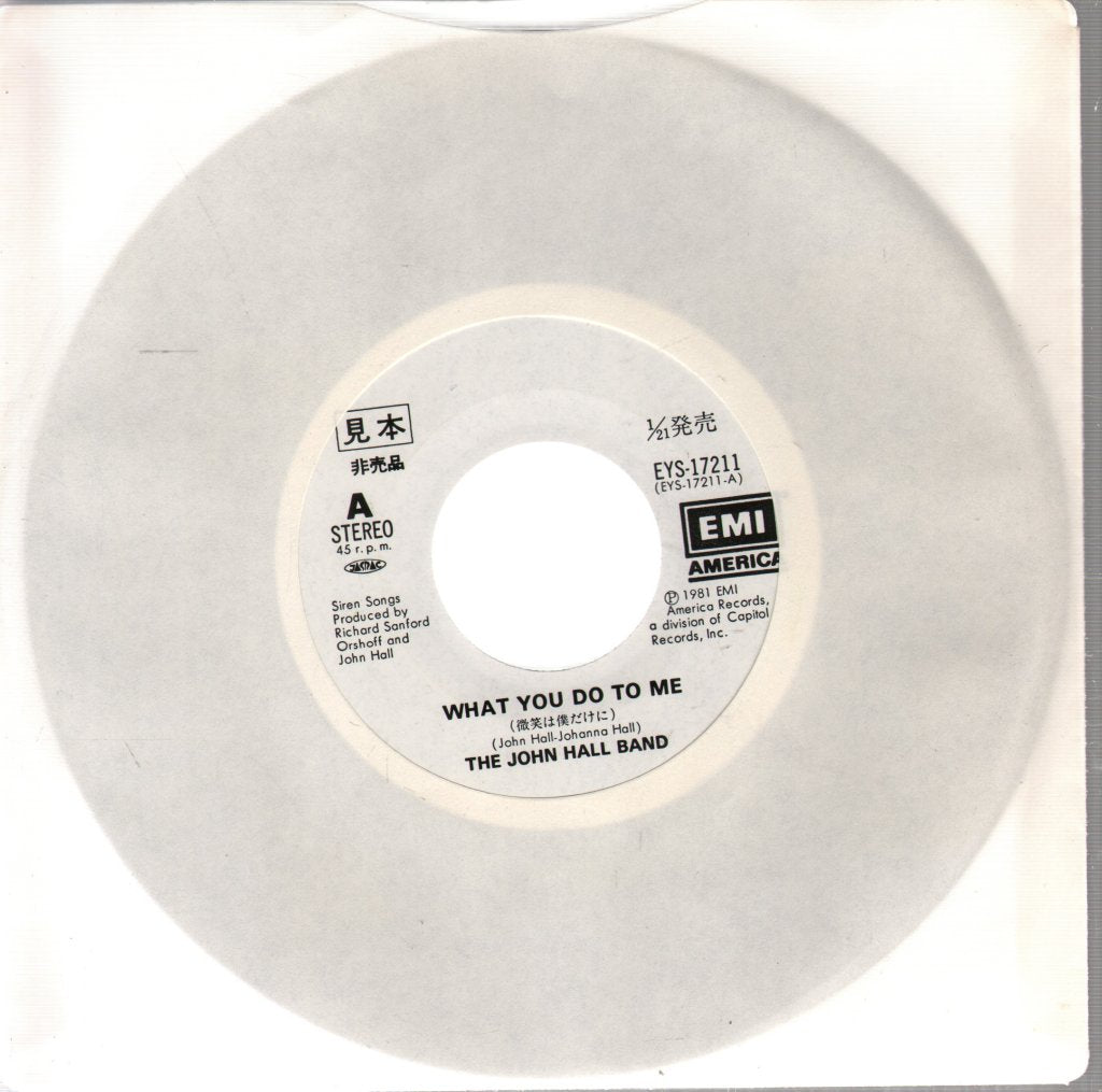 John Hall Band - What You Do To Me - 7 Inch