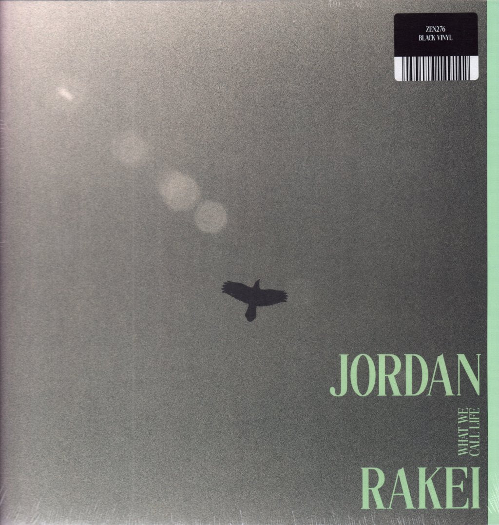 Jordan Rakei - What We Call Life - Lp