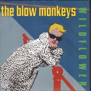 Blow Monkeys - Wildflower - 7 Inch