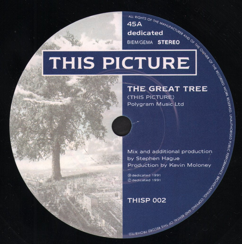 This Picture - Great Tree - 7 Inch