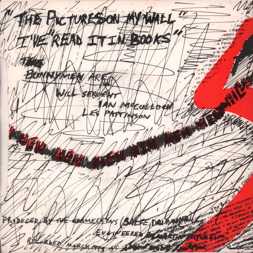 Echo And The Bunnymen - Pictures On My Wall - 7 Inch