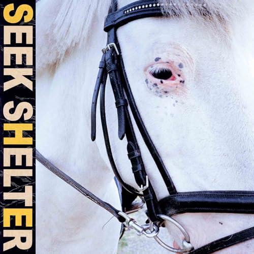 Iceage - Seek Shelter - Lp