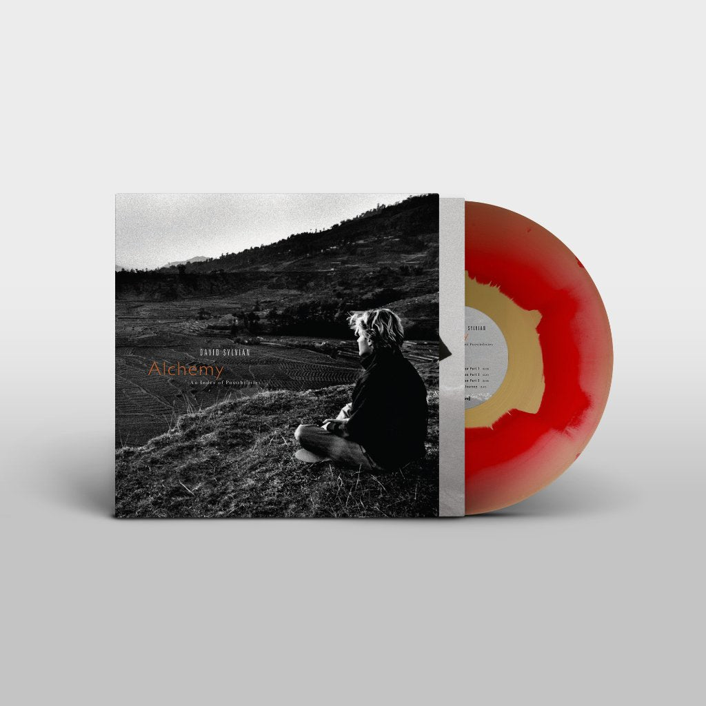 David Sylvian and Jon Hassell - Alchemy: An Index Of Possibilities - Lp