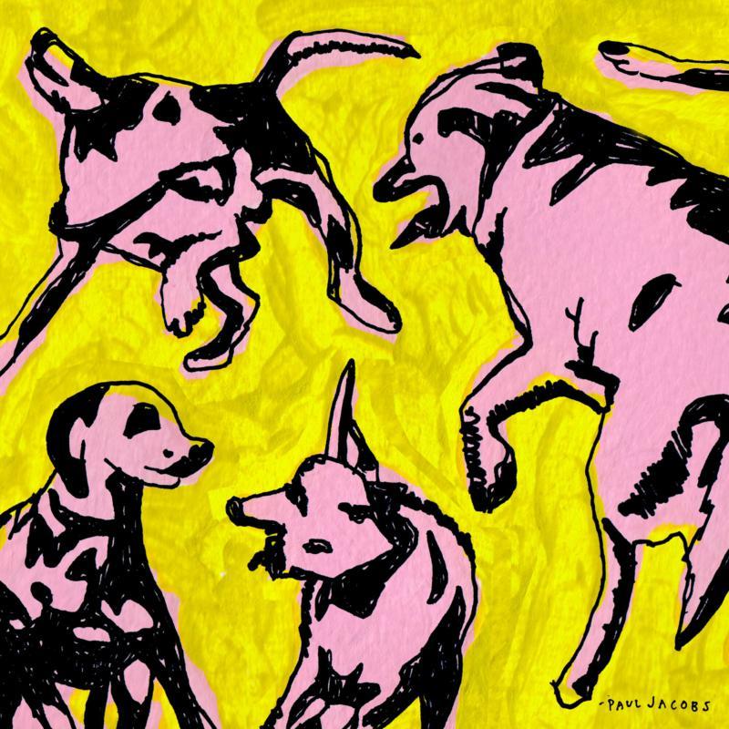 Paul Jacobs - Pink Dogs On the Green Grass - Cd