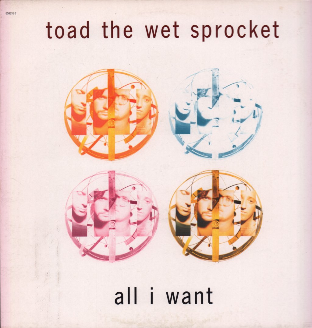 Toad The Wet Sprocket (Us) - All I Want - 12 Inch