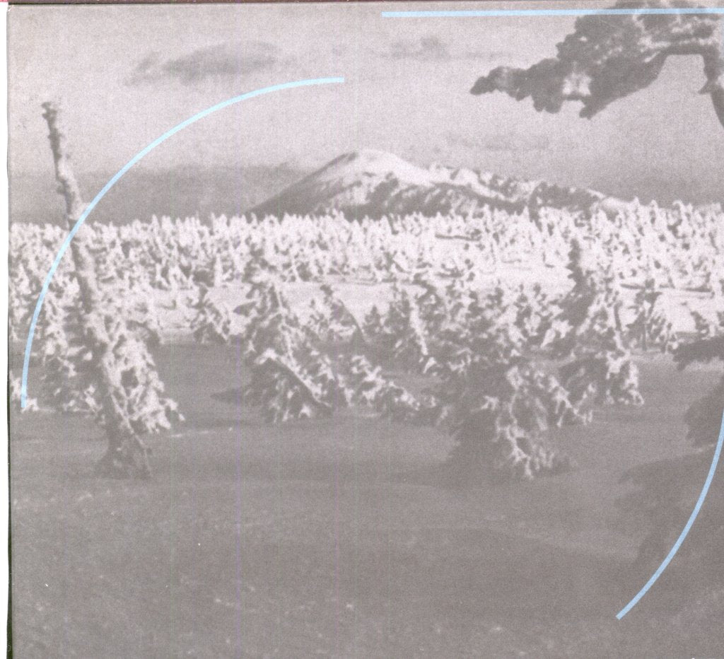 Acid Mothers Temple & The Melting Paraiso UFO - In Search Of The Lost Divine Arc - Cd