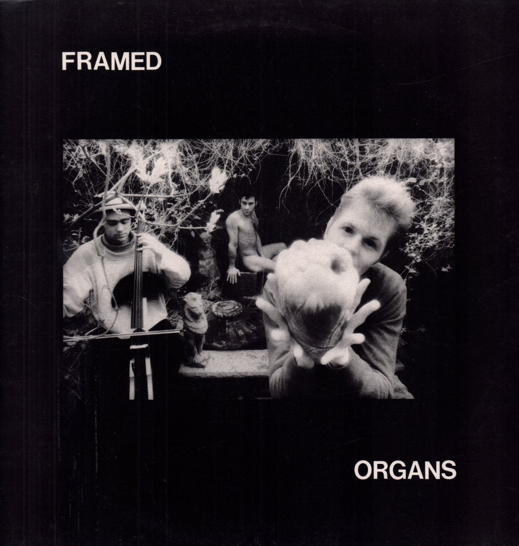 Framed (90'S Group) - Organs - 12 Inch