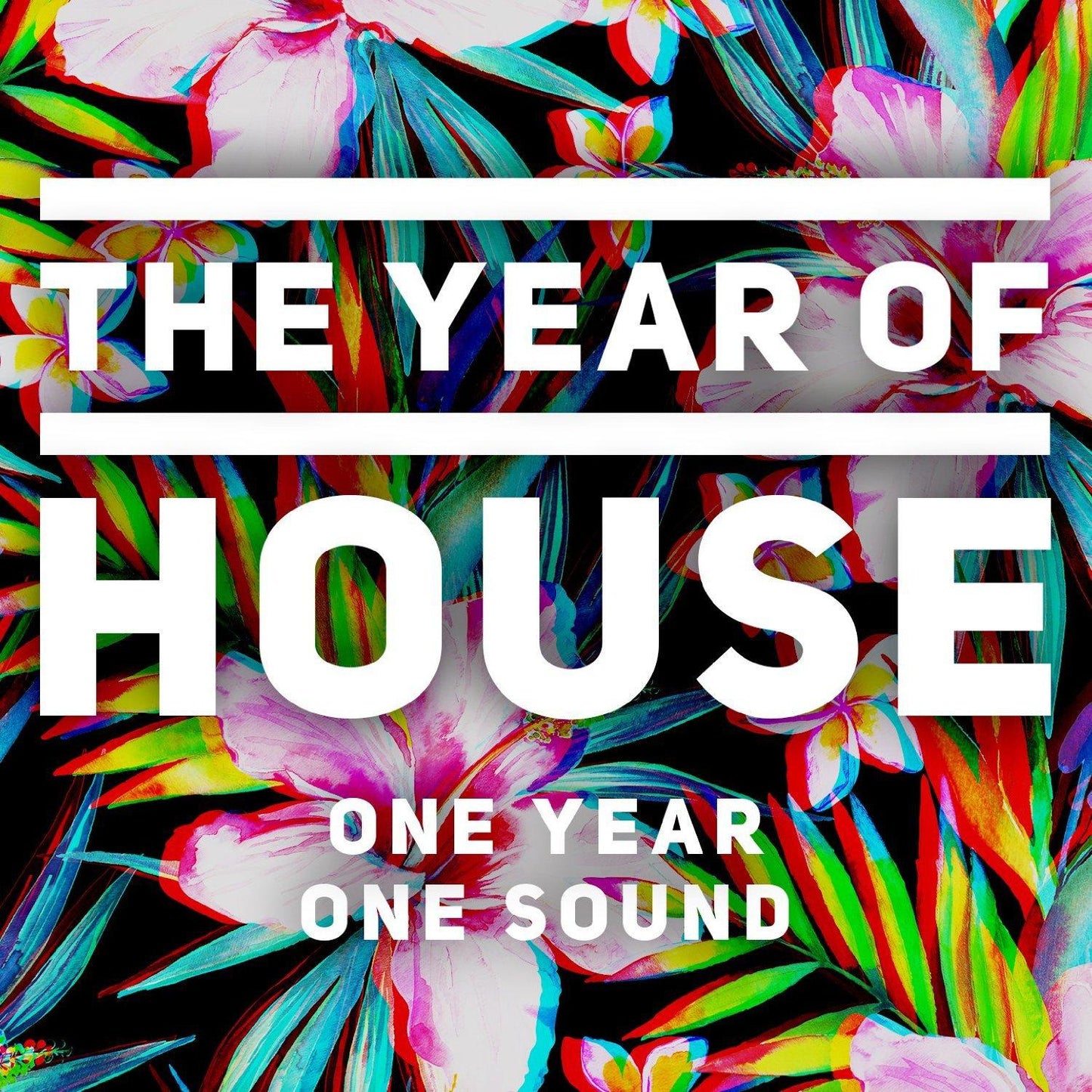 Various Artists - Year of House - Cd