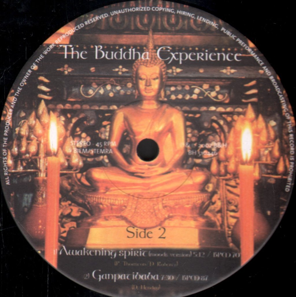 Various Artists - Buddha Experience - 12 Inch