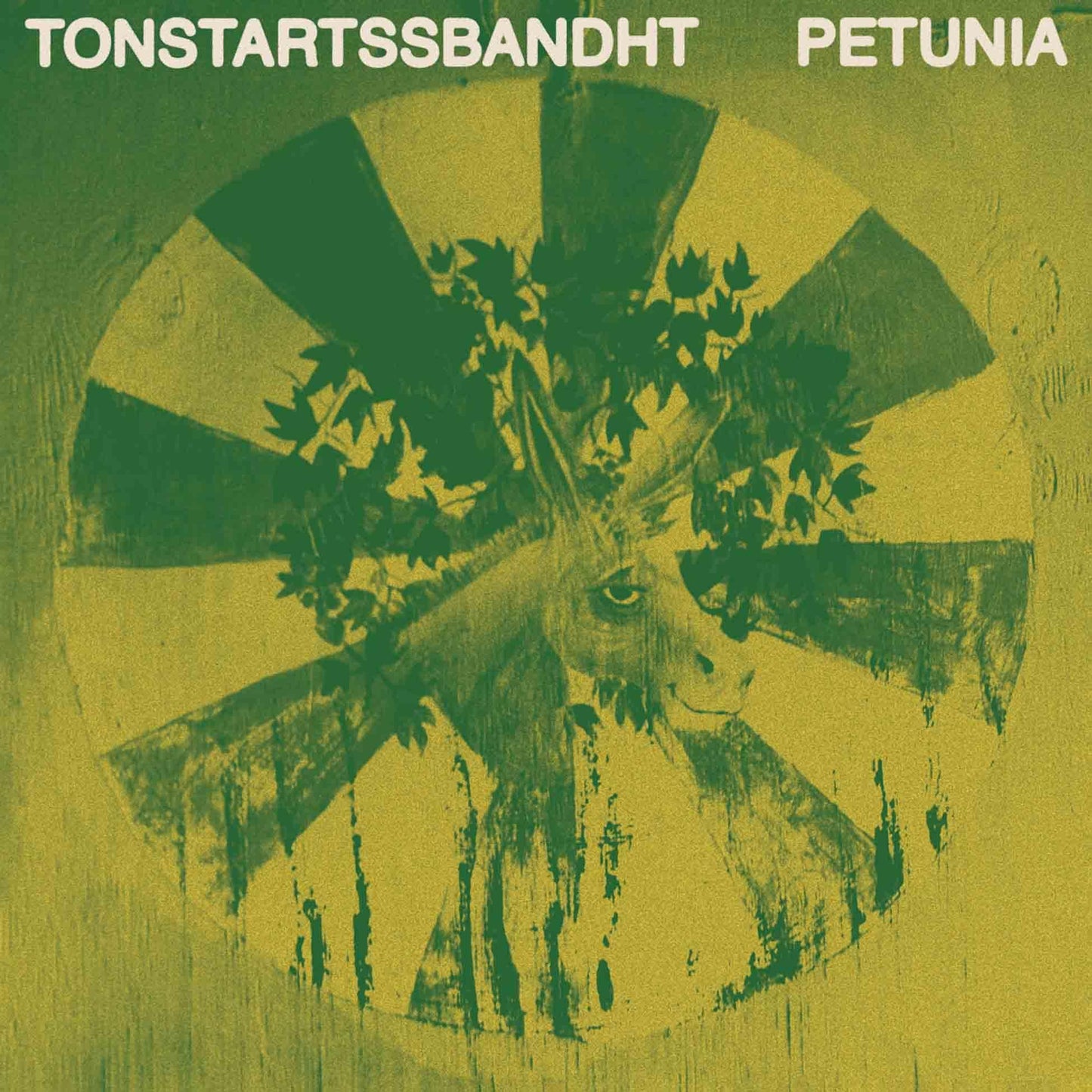Tonstartssbandht - Petunia - Lp