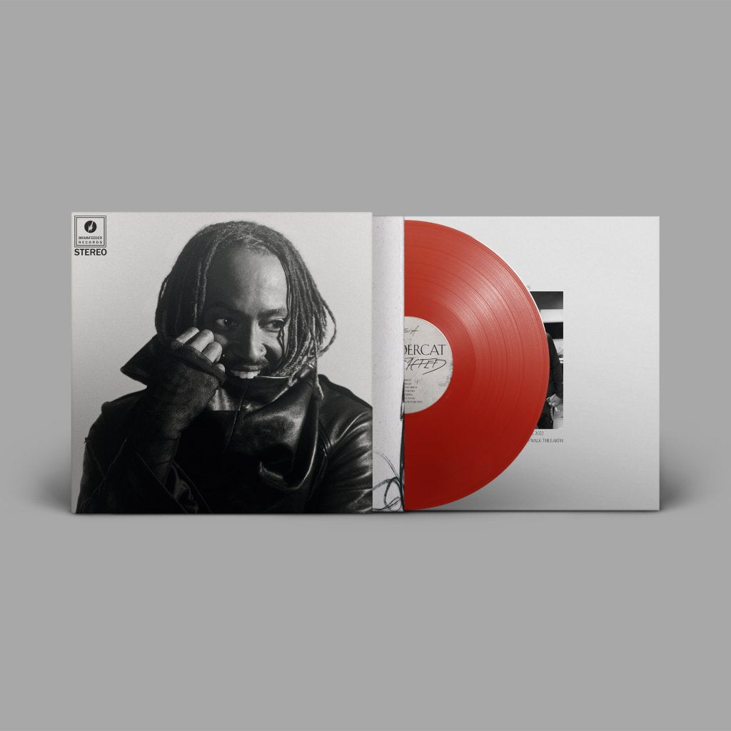 Thundercat - Distracted - Lp