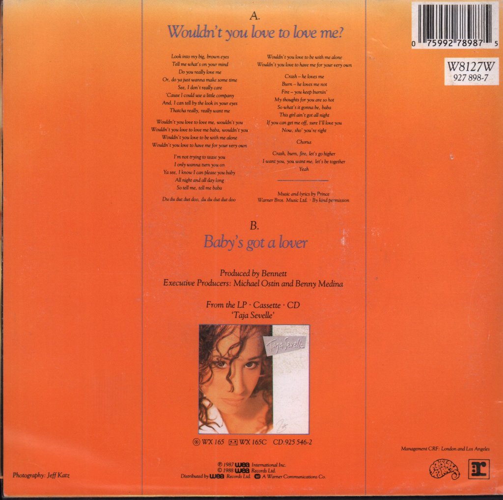 Taja Sevelle - Wouldn't You Love To Love Me? - 7 Inch
