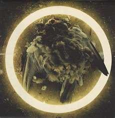 Halo - Still Here EP - Cd