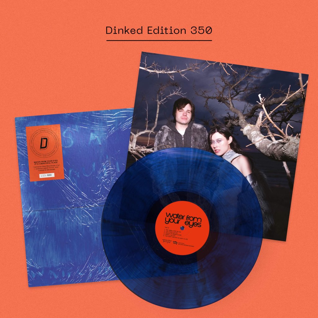 Water From Your Eyes - It's A Beautiful Place (Dinked Edition #350) - Lp