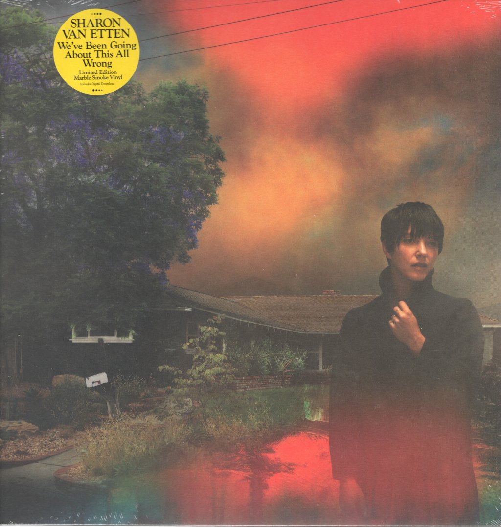 Sharon Van Etten - We've Been Going About This All Wrong - Lp