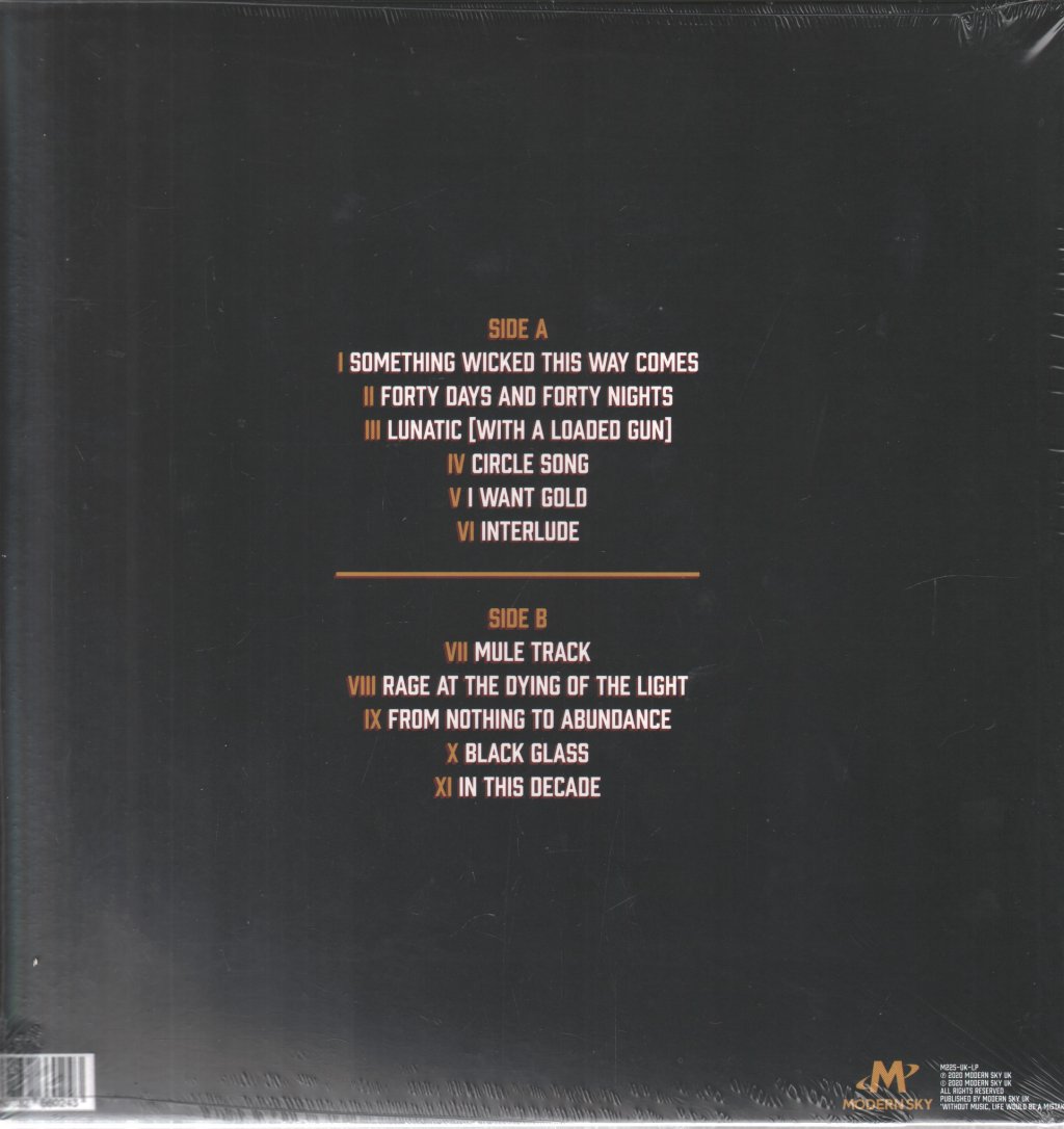 Blinders - Fantasies Of A Stay At Home Psychopath - Lp