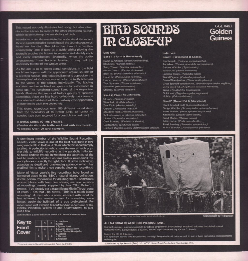 Bird Sounds In Close Up - Recorded And Compiled By Victor C Lewis - Lp