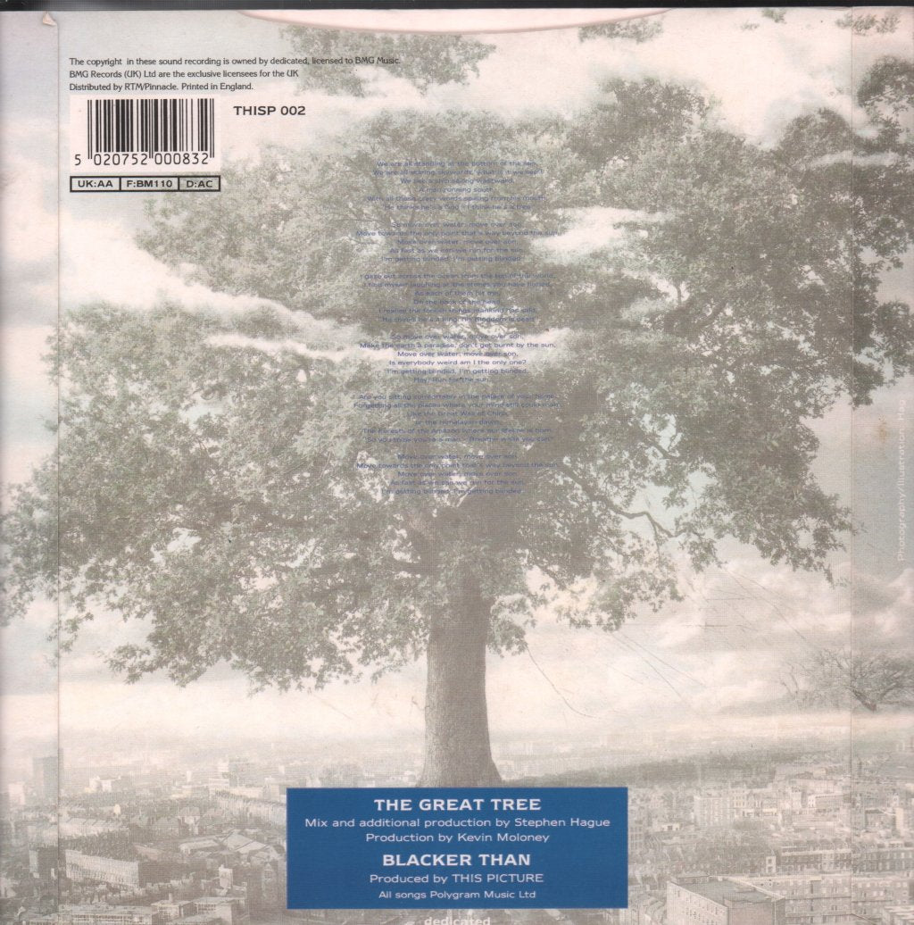 This Picture - Great Tree - 7 Inch