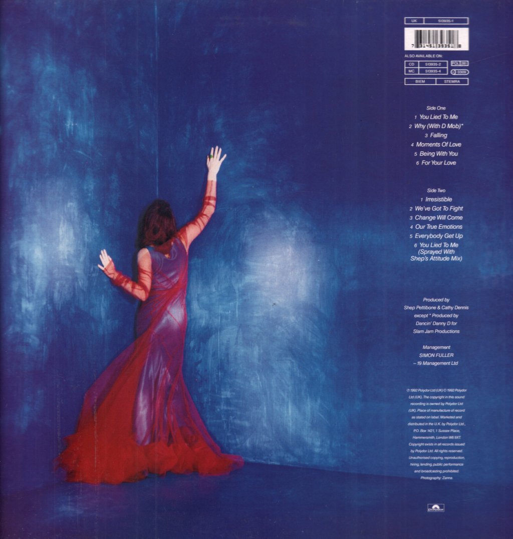 Cathy Dennis - Into The Skyline - Lp