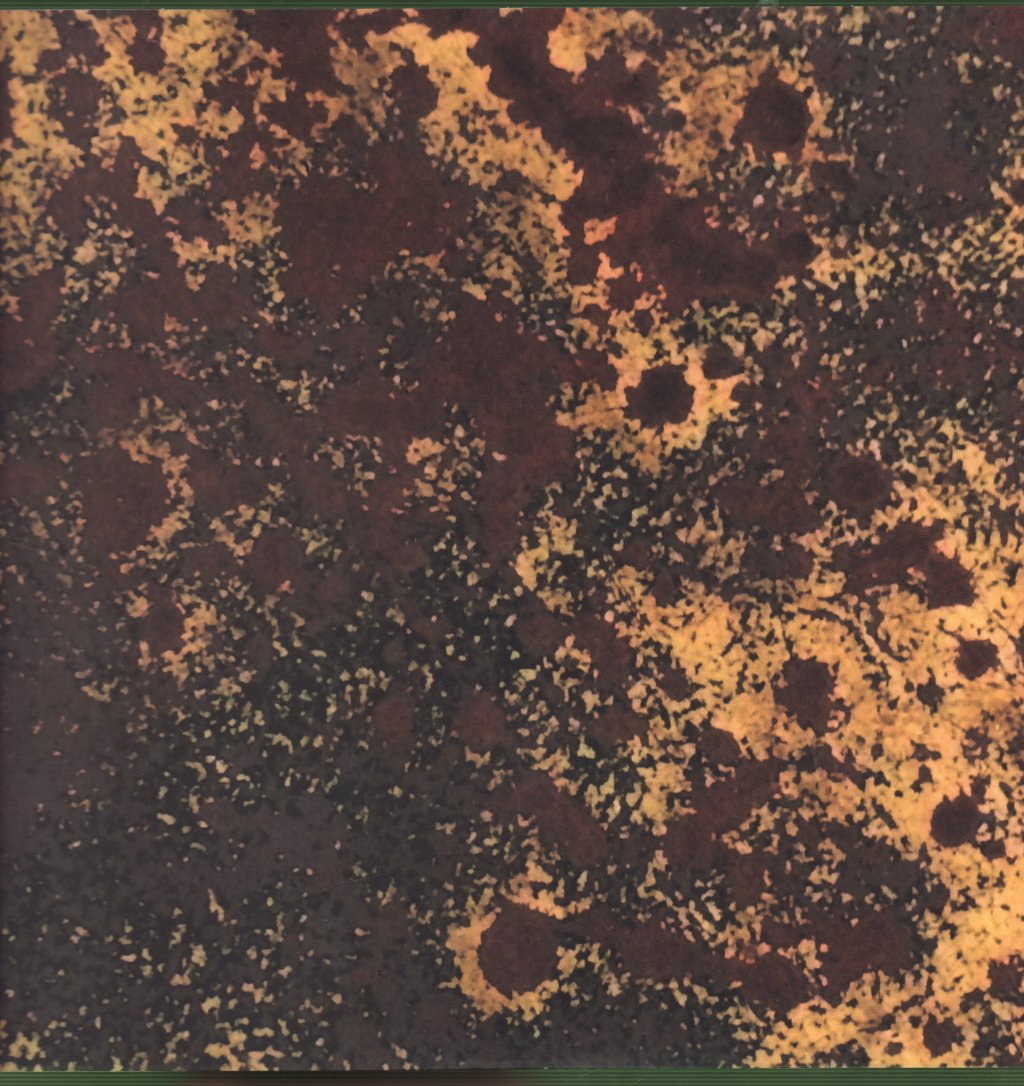 Mugstar - Magnetic Seasons - Double Lp