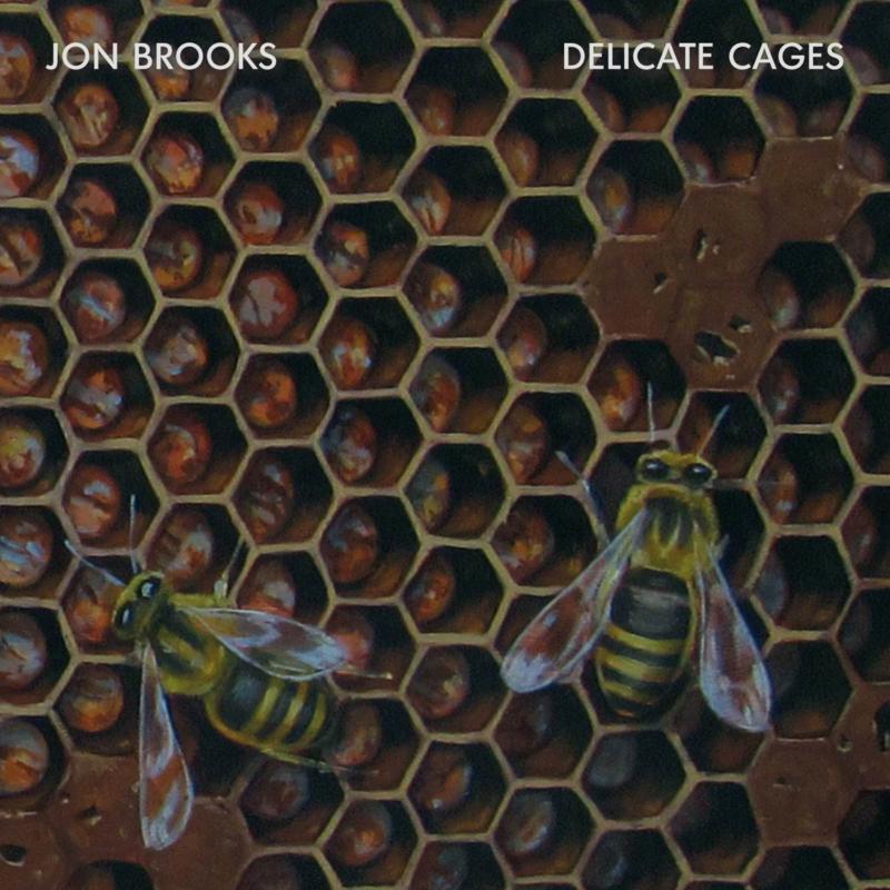 Jon Brooks - Delicate Cages - Cd