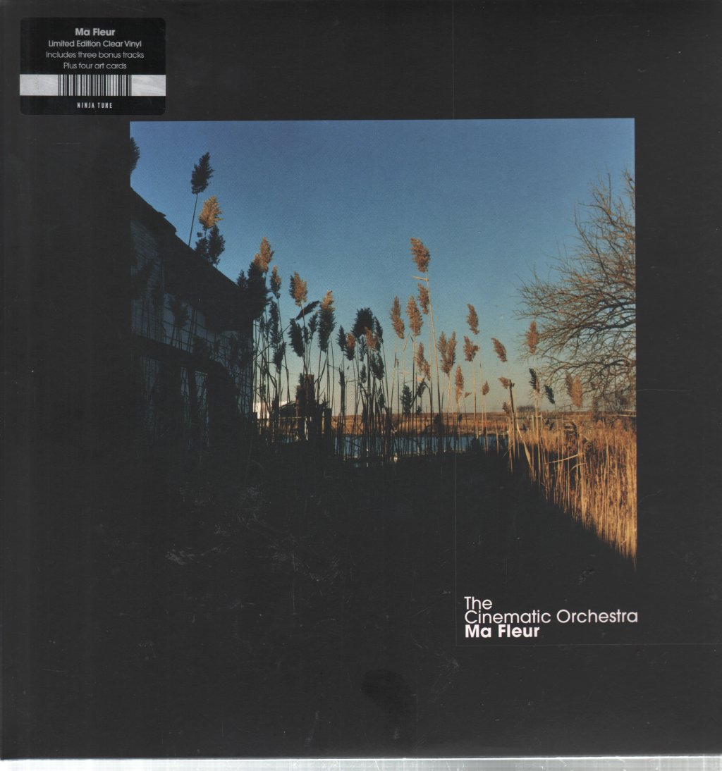 Cinematic Orchestra - Ma Fleur - Double Lp