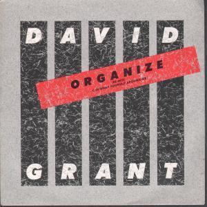 David Grant - Organize - 7 Inch