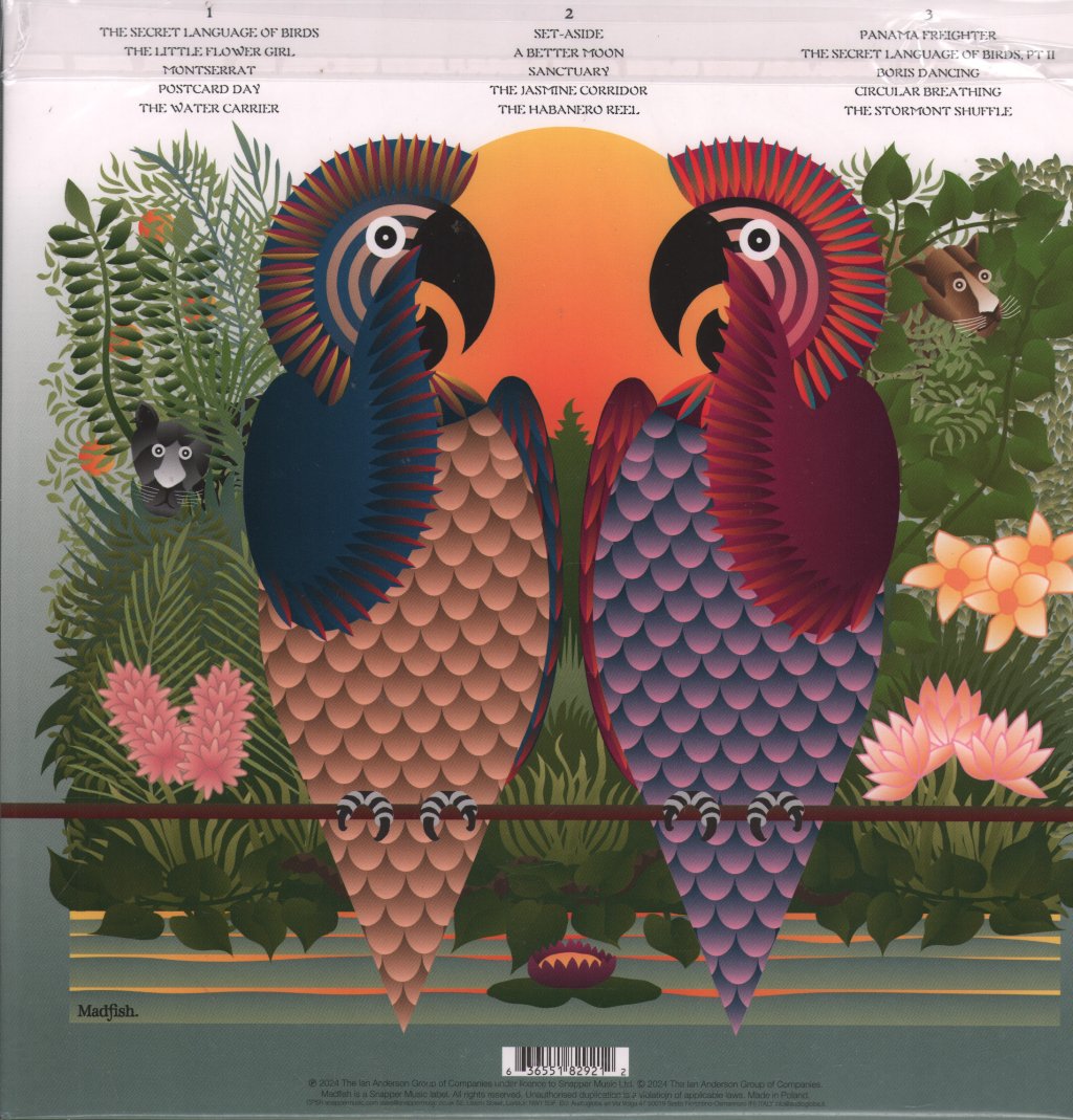 Ian Anderson - The Secret Language of Birds - Double Lp