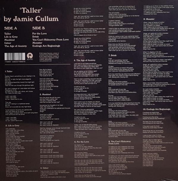 Jamie Cullum - Taller - Lp