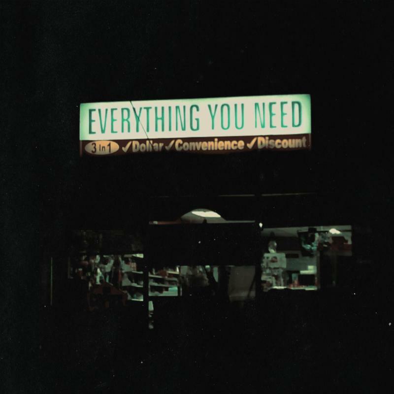 Single Mothers - Everything You Need - Lp