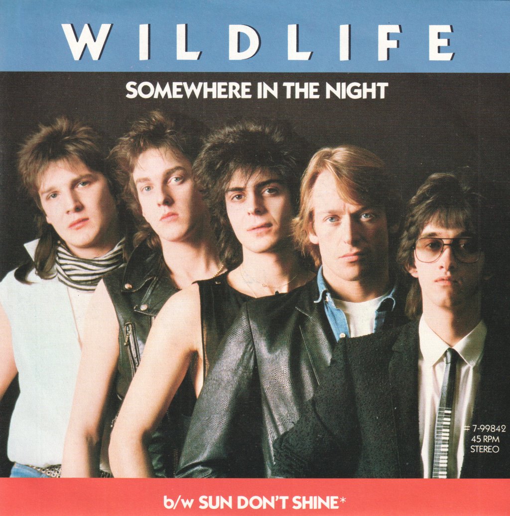 Wildlife (80'S Group) - Somewhere In The Night - 7 Inch