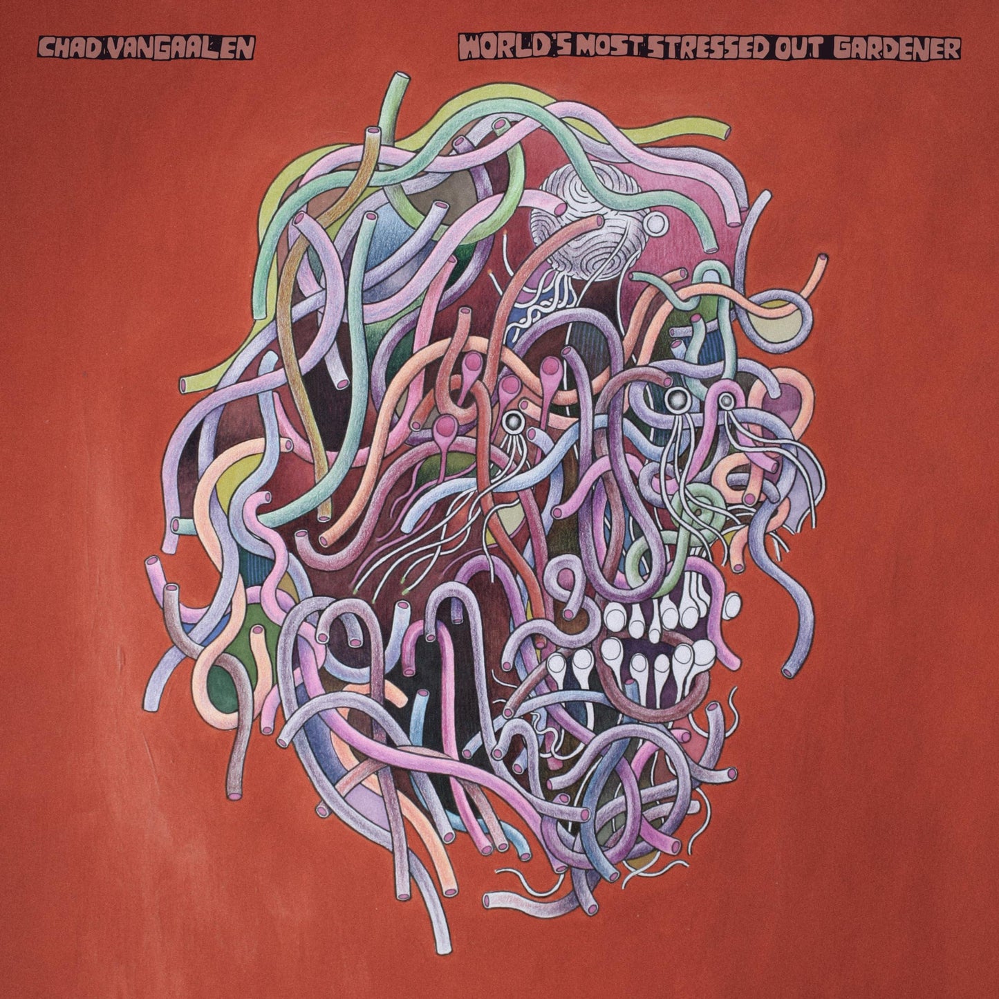 Chad Vangaalen - World's Most Stressed Out Gardener - Cd