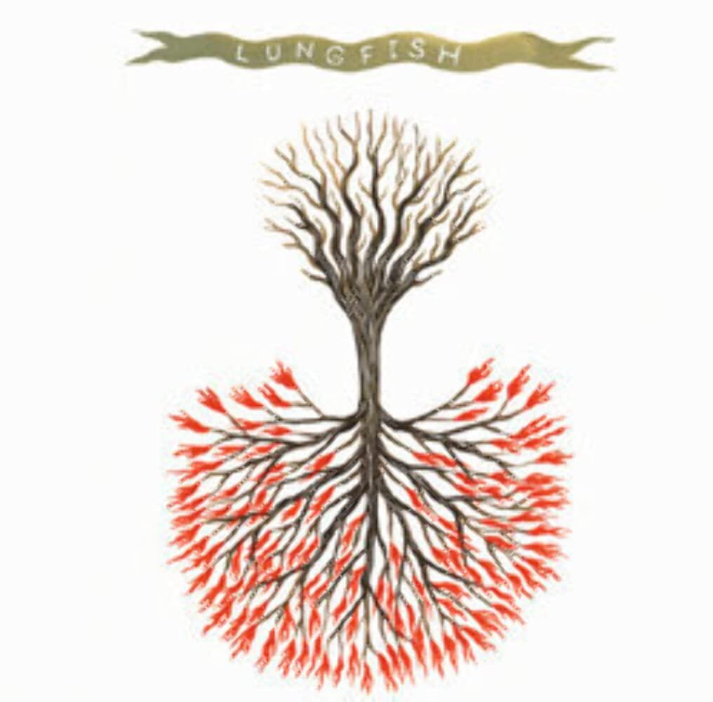 Lungfish - Love Is Love - Cd