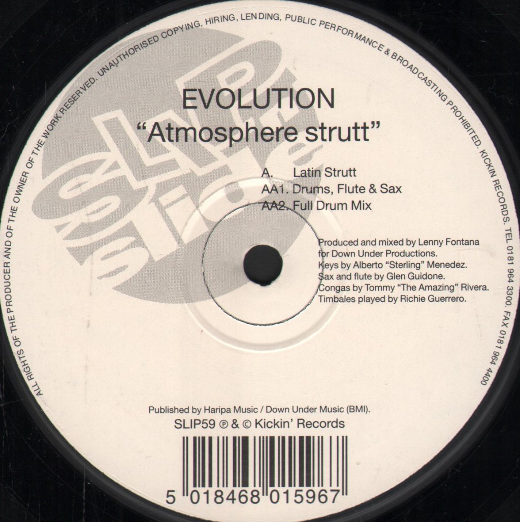 Evolution (Lenny Fontana) - Atmosphere Strutt - 12 Inch