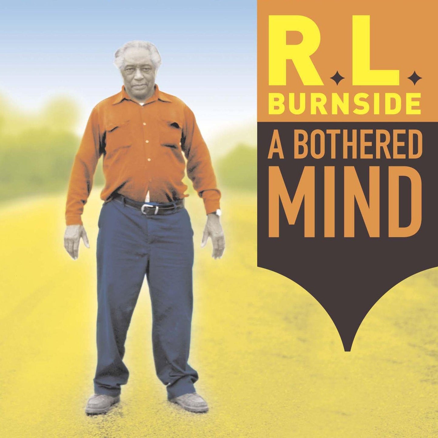 R.L. Burnside - A Bothered Mind - Lp