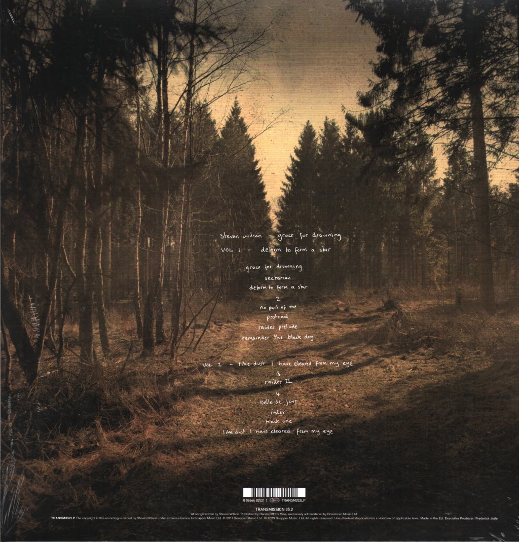 Steven Wilson - Grace For Drowning - Double Lp