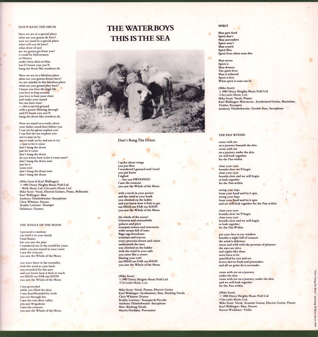 Waterboys - This Is The Sea - Lp