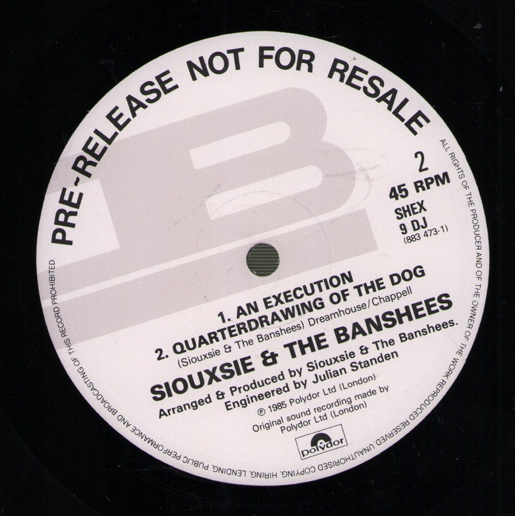 Siouxsie & The Banshees - Cities In Dust (Extended Eruption Mix) - 12 Inch