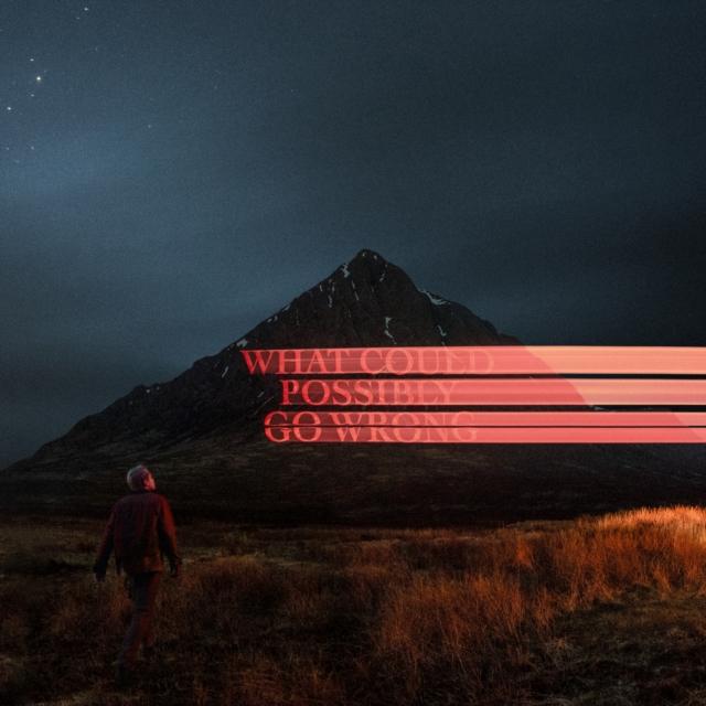 Dominic Fike - What Could Possibly Go Wrong - Lp