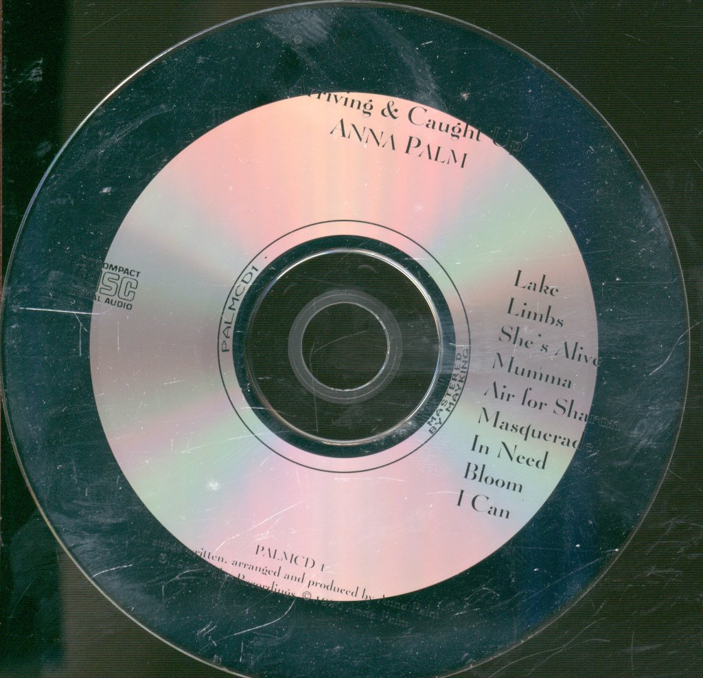 Anna Palm - Arriving And Caught Up - Cd